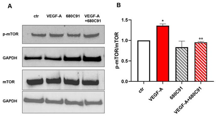 https://cdn.ncbi.nlm.nih.gov/pmc/blobs/6dc0/11124529/2d2cd0f2245c/pharmaceuticals-17-00558-g005.jpg