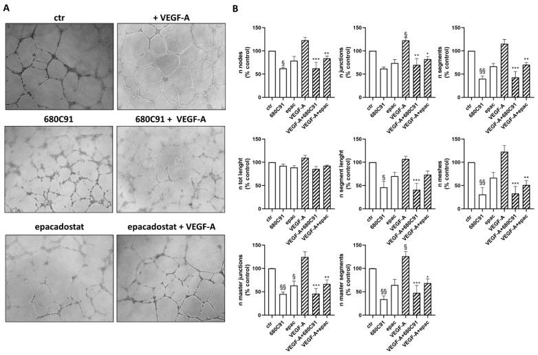 https://cdn.ncbi.nlm.nih.gov/pmc/blobs/6dc0/11124529/4df4cbb07ef1/pharmaceuticals-17-00558-g003.jpg