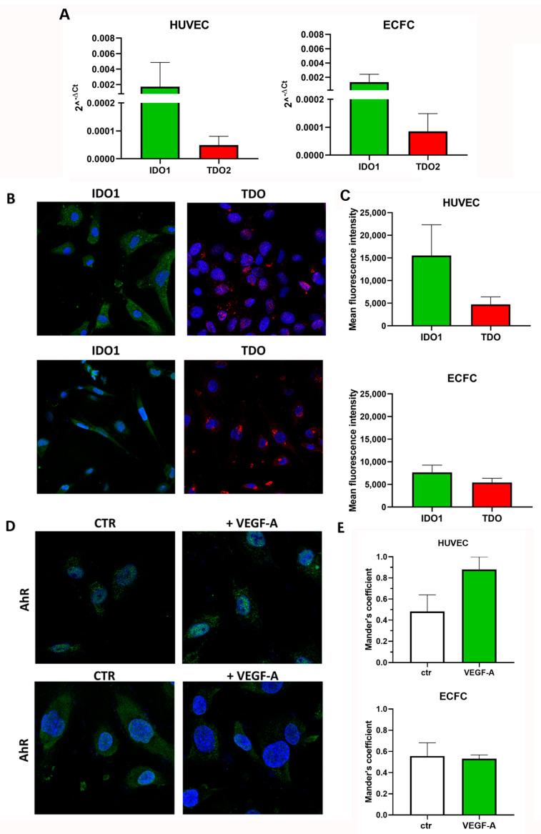 https://cdn.ncbi.nlm.nih.gov/pmc/blobs/6dc0/11124529/527ae43130e3/pharmaceuticals-17-00558-g001.jpg
