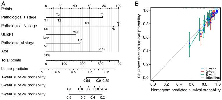 https://cdn.ncbi.nlm.nih.gov/pmc/blobs/6dc1/11526324/073d1fd7276d/ol-29-01-14761-g04.jpg