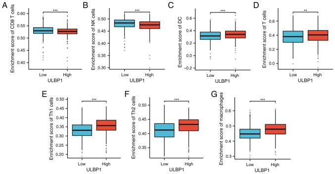 https://cdn.ncbi.nlm.nih.gov/pmc/blobs/6dc1/11526324/c60e3e92f3f0/ol-29-01-14761-g07.jpg