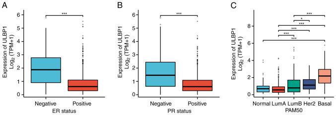 https://cdn.ncbi.nlm.nih.gov/pmc/blobs/6dc1/11526324/e5cf18ff09d1/ol-29-01-14761-g02.jpg