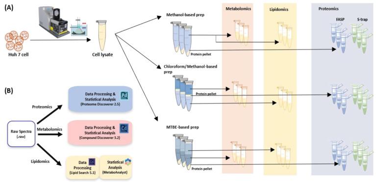https://cdn.ncbi.nlm.nih.gov/pmc/blobs/6dc2/10820684/dd40ec54106a/metabolites-14-00034-g001.jpg