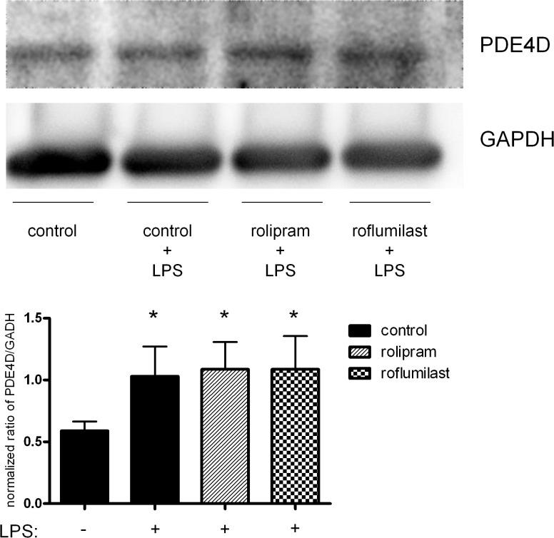 https://cdn.ncbi.nlm.nih.gov/pmc/blobs/6dc4/4409344/267a11b1c9a9/pone.0121725.g013.jpg
