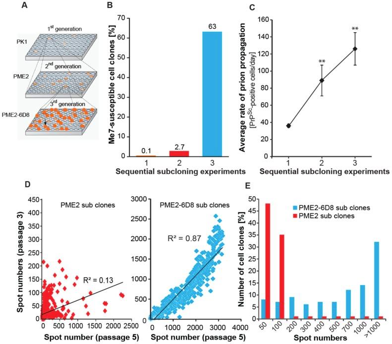https://cdn.ncbi.nlm.nih.gov/pmc/blobs/6dc4/6832381/46418fd30e4a/viruses-11-00888-g002.jpg