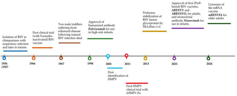 https://cdn.ncbi.nlm.nih.gov/pmc/blobs/6dc6/12197412/dd9d6584540e/vaccines-13-00569-g002.jpg