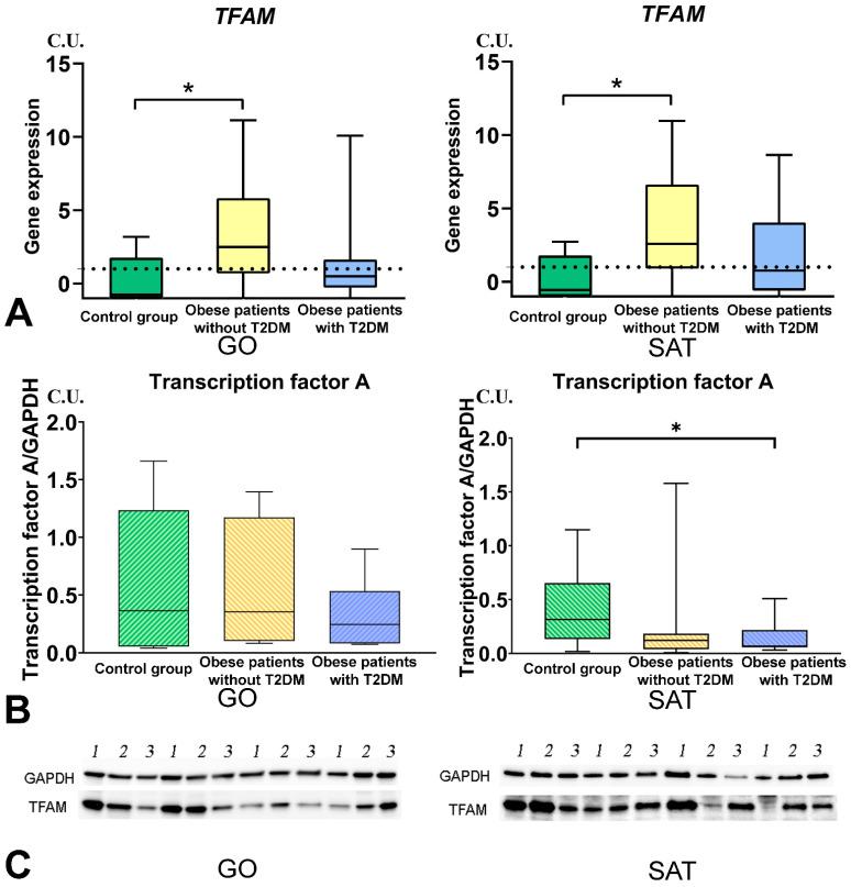 https://cdn.ncbi.nlm.nih.gov/pmc/blobs/6dc7/8470627/0f07438f2dca/biomedicines-09-01260-g008.jpg