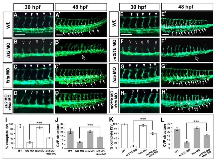 https://cdn.ncbi.nlm.nih.gov/pmc/blobs/6dca/9220758/f85035fca1ed/biomedicines-10-01261-g006.jpg
