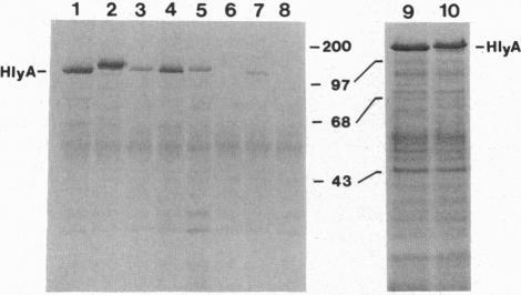 https://cdn.ncbi.nlm.nih.gov/pmc/blobs/6dcb/46476/4cc1c380c06f/pnas01468-0446-a.jpg