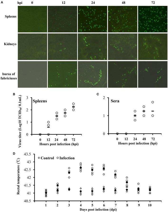 https://cdn.ncbi.nlm.nih.gov/pmc/blobs/6dcd/5397487/f91242315857/fmicb-08-00672-g0001.jpg