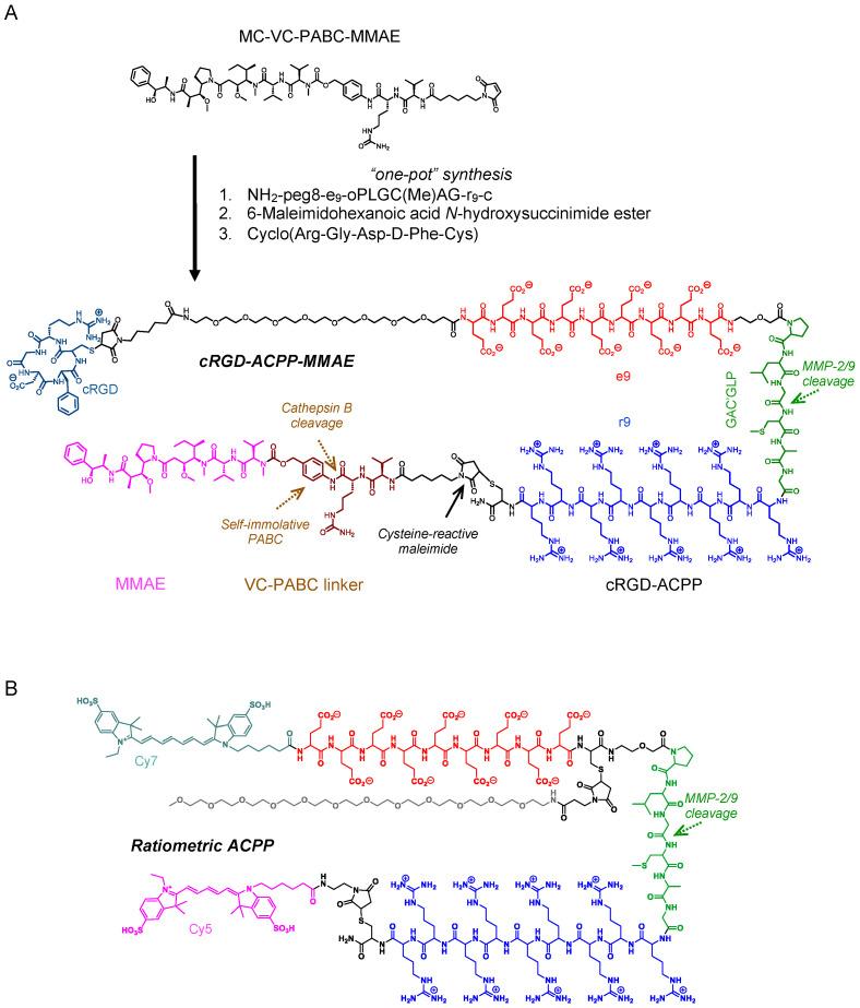 https://cdn.ncbi.nlm.nih.gov/pmc/blobs/6dce/11643828/951954673f60/molecules-29-05618-g002.jpg