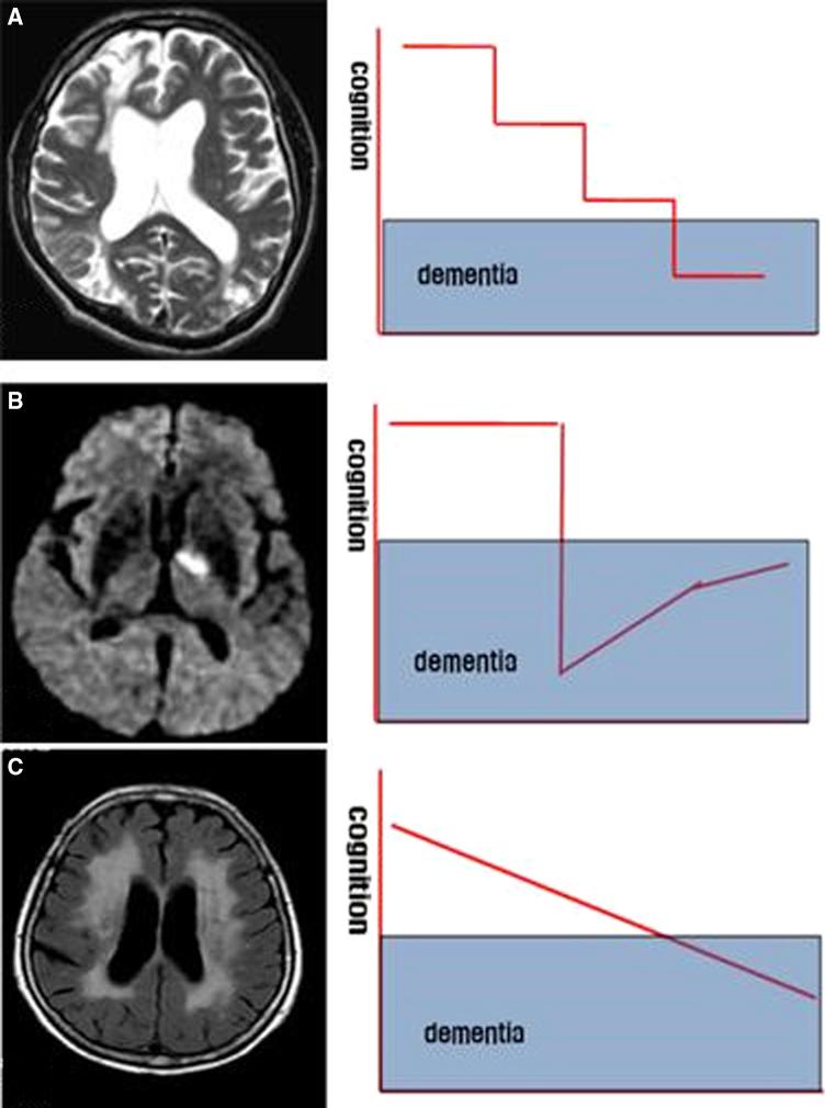 https://cdn.ncbi.nlm.nih.gov/pmc/blobs/6dce/6461571/f5f141efc7c2/gr2.jpg