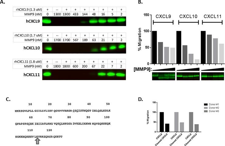 https://cdn.ncbi.nlm.nih.gov/pmc/blobs/6dcf/6267998/1507d493e033/pone.0207255.g005.jpg