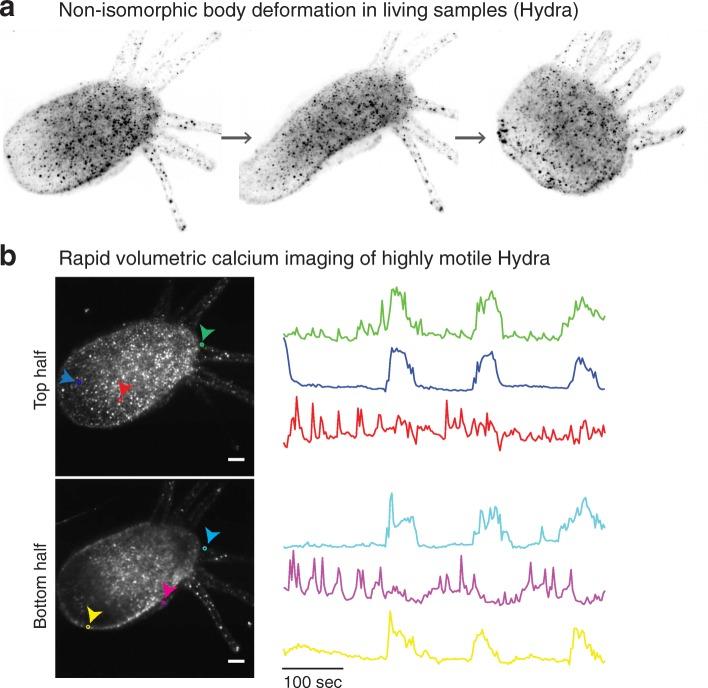 https://cdn.ncbi.nlm.nih.gov/pmc/blobs/6dd1/5975440/3a4340480729/12915_2018_521_Fig7_HTML.jpg