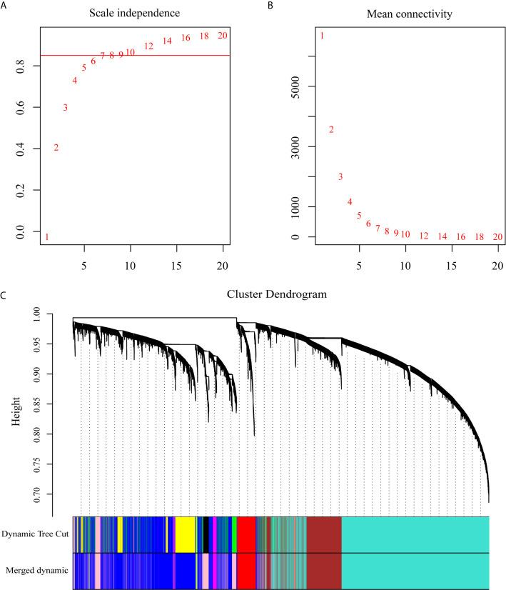 https://cdn.ncbi.nlm.nih.gov/pmc/blobs/6dd1/8343178/cd51942864f2/fonc-11-684232-g001.jpg