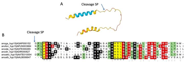 https://cdn.ncbi.nlm.nih.gov/pmc/blobs/6dd2/11121840/04295a778150/ijms-25-05529-g001.jpg