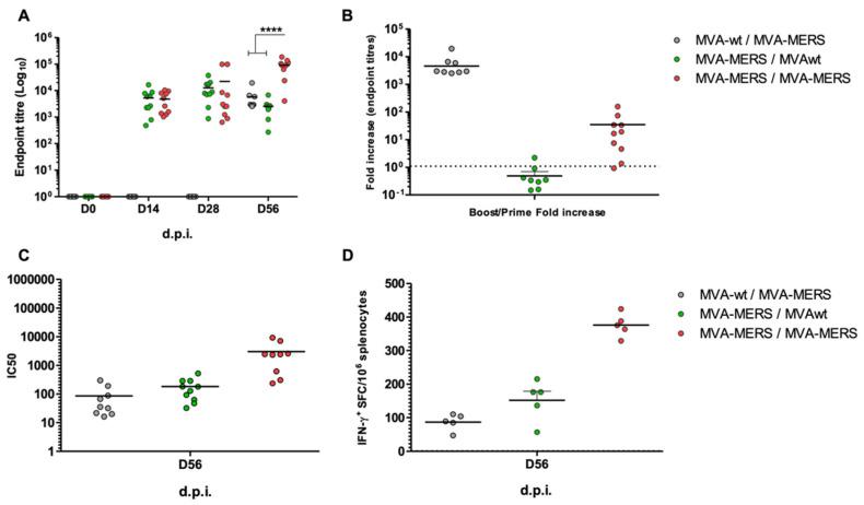 https://cdn.ncbi.nlm.nih.gov/pmc/blobs/6dd2/9413082/86a8de3e7b1a/vaccines-10-01330-g002.jpg