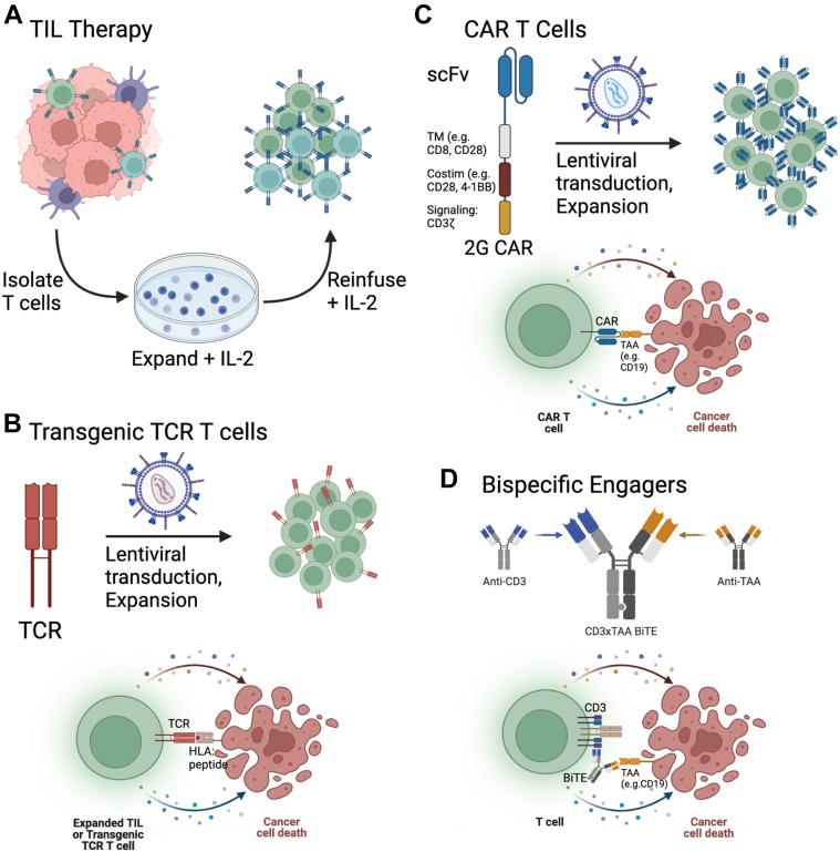 https://cdn.ncbi.nlm.nih.gov/pmc/blobs/6dd4/9830230/398756ccf4f1/gr2.jpg