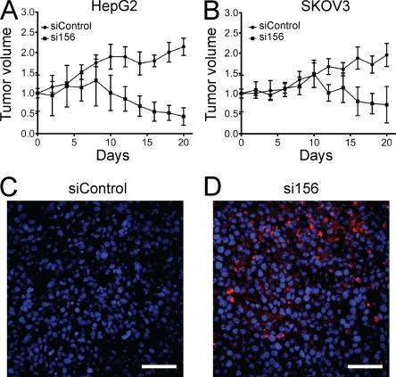https://cdn.ncbi.nlm.nih.gov/pmc/blobs/6dd6/3280873/c79f10ac60d8/JEM_20111487_Fig5.jpg