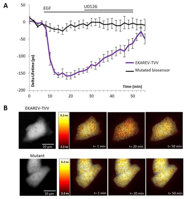 https://cdn.ncbi.nlm.nih.gov/pmc/blobs/6dd7/3926607/56979839d948/sensors-14-01140f3.jpg