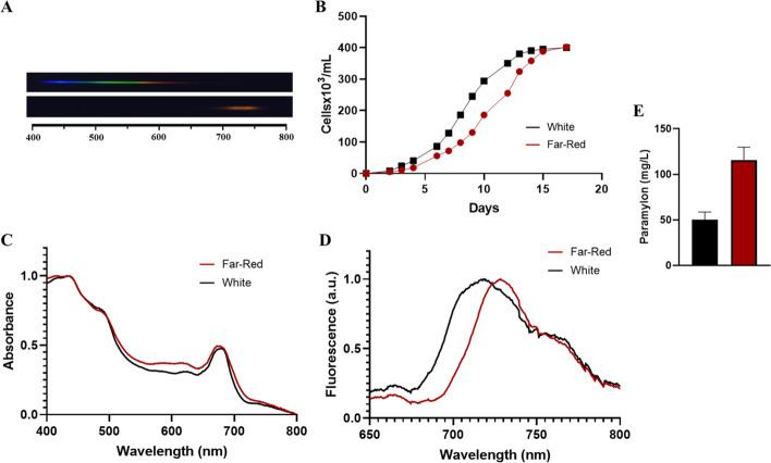 https://cdn.ncbi.nlm.nih.gov/pmc/blobs/6dd8/11035454/e3a93d3010ee/12010_2023_4629_Fig6_HTML.jpg