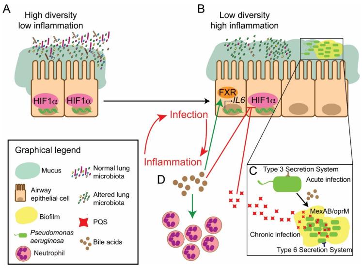 https://cdn.ncbi.nlm.nih.gov/pmc/blobs/6dd9/8300688/7ca851f2232c/antibiotics-10-00766-g002.jpg