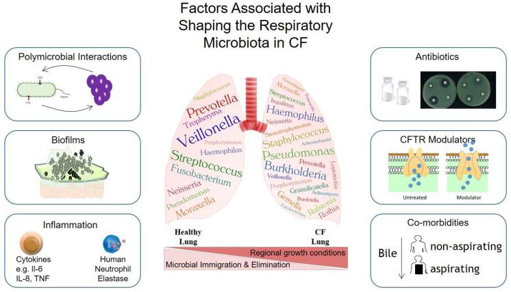 https://cdn.ncbi.nlm.nih.gov/pmc/blobs/6dd9/8300688/90688aa58f0f/antibiotics-10-00766-g001.jpg