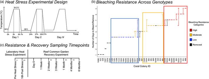 https://cdn.ncbi.nlm.nih.gov/pmc/blobs/6dd9/9923480/6685627f530a/EVA-16-504-g003.jpg