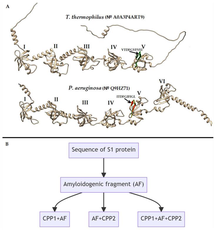 https://cdn.ncbi.nlm.nih.gov/pmc/blobs/6dda/10706425/3018a915c4bf/ijms-24-16723-g001.jpg