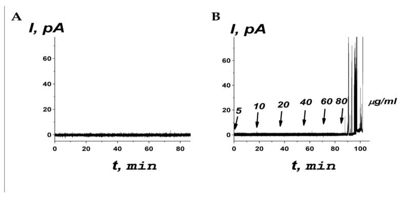 https://cdn.ncbi.nlm.nih.gov/pmc/blobs/6dda/10706425/83798b89ef90/ijms-24-16723-g005.jpg