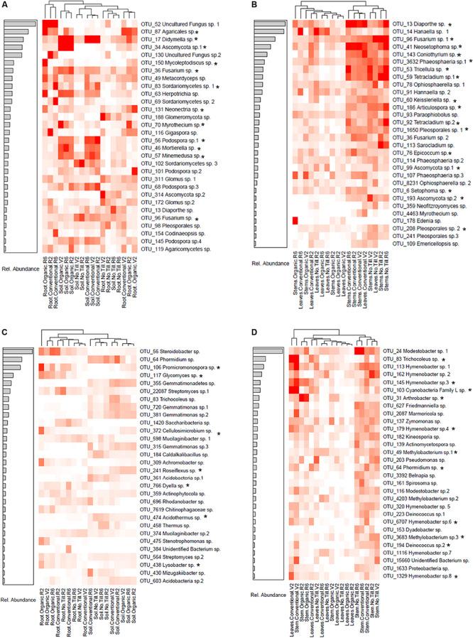 https://cdn.ncbi.nlm.nih.gov/pmc/blobs/6dda/7283522/5ddf1036ec31/fmicb-11-01116-g006.jpg