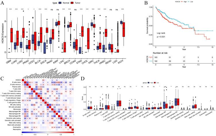 https://cdn.ncbi.nlm.nih.gov/pmc/blobs/6ddc/11963816/ec0c05a48ecb/OTT-18-453-g0001.jpg