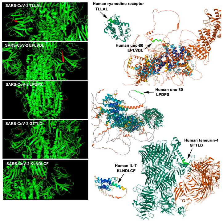 https://cdn.ncbi.nlm.nih.gov/pmc/blobs/6ddd/11125730/21c6cae32cd4/vaccines-12-00539-g003.jpg