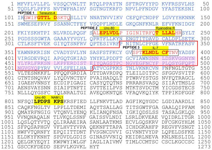https://cdn.ncbi.nlm.nih.gov/pmc/blobs/6ddd/11125730/efb304809b05/vaccines-12-00539-g004.jpg