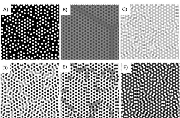 https://cdn.ncbi.nlm.nih.gov/pmc/blobs/6dde/2749810/099a01d7b18a/1752-0509-3-87-2.jpg