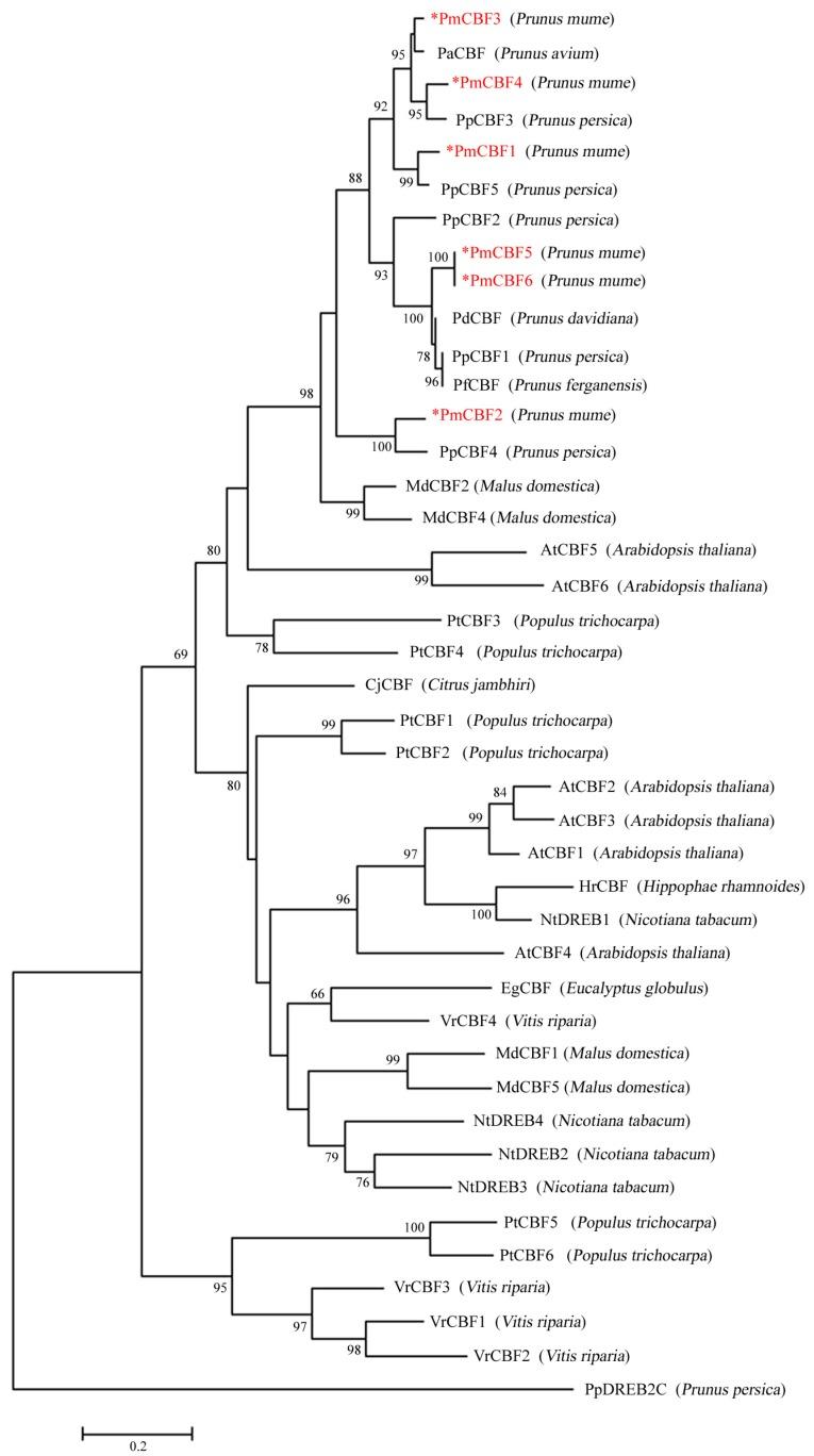 https://cdn.ncbi.nlm.nih.gov/pmc/blobs/6ddf/5855539/8108d5d4ea17/ijms-19-00015-g002.jpg