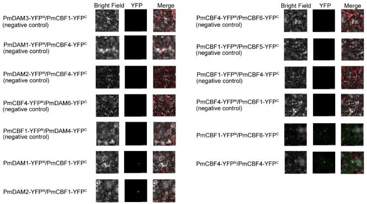 https://cdn.ncbi.nlm.nih.gov/pmc/blobs/6ddf/5855539/b6cb75db0132/ijms-19-00015-g008.jpg
