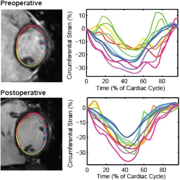 https://cdn.ncbi.nlm.nih.gov/pmc/blobs/6de2/5963144/6df4b6264c15/12968_2018_452_Fig2_HTML.jpg