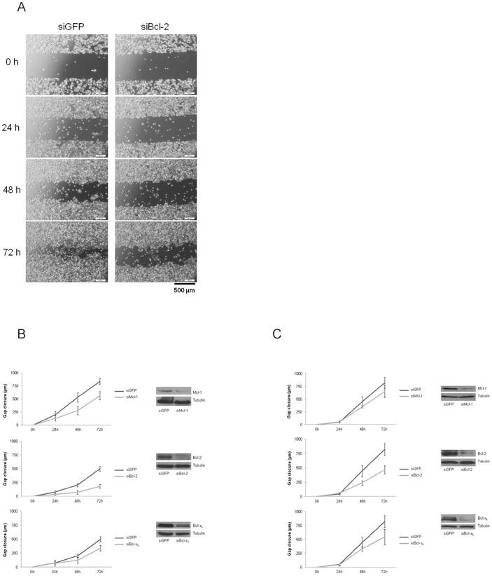 https://cdn.ncbi.nlm.nih.gov/pmc/blobs/6de3/3789675/ff0076cd8ca3/pone.0076446.g004.jpg