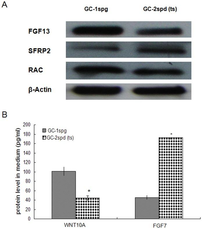 https://cdn.ncbi.nlm.nih.gov/pmc/blobs/6de4/3598852/22ac57473c3f/pone.0058680.g007.jpg