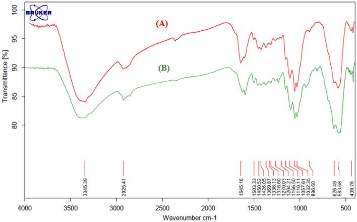 https://cdn.ncbi.nlm.nih.gov/pmc/blobs/6de5/9587238/097276566483/41598_2022_22712_Fig3_HTML.jpg