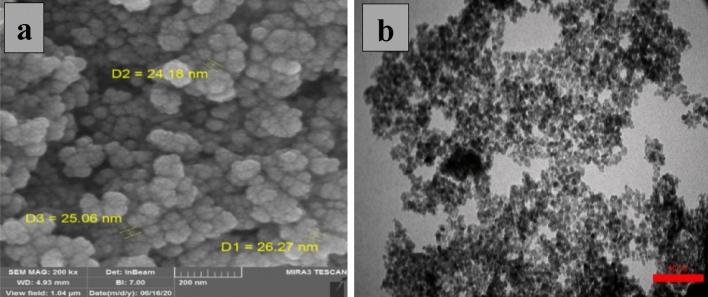 https://cdn.ncbi.nlm.nih.gov/pmc/blobs/6de5/9587238/9be9062e1e83/41598_2022_22712_Fig5_HTML.jpg