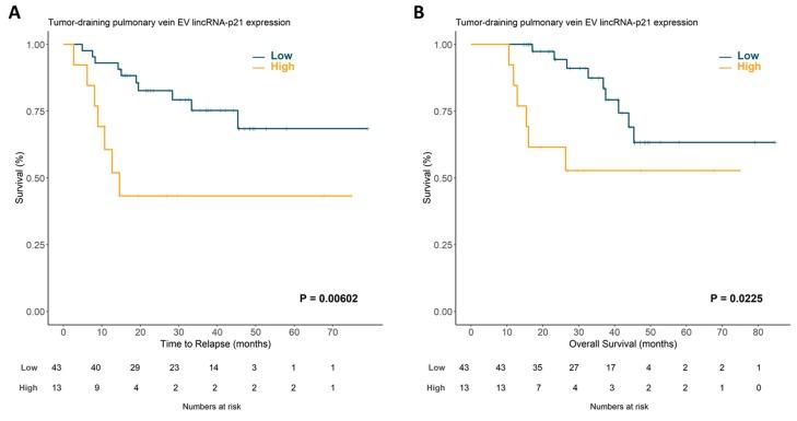 https://cdn.ncbi.nlm.nih.gov/pmc/blobs/6de6/7140053/897dcad7de5e/cancers-12-00734-g001.jpg
