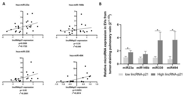 https://cdn.ncbi.nlm.nih.gov/pmc/blobs/6de6/7140053/d52e4bd3b737/cancers-12-00734-g004.jpg