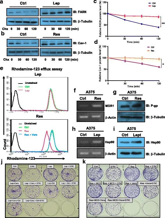 https://cdn.ncbi.nlm.nih.gov/pmc/blobs/6de8/5859707/4004d1575856/40170_2018_176_Fig3_HTML.jpg