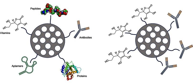 https://cdn.ncbi.nlm.nih.gov/pmc/blobs/6de8/6512630/2e6a4a500416/IJN-14-3389-g0003.jpg