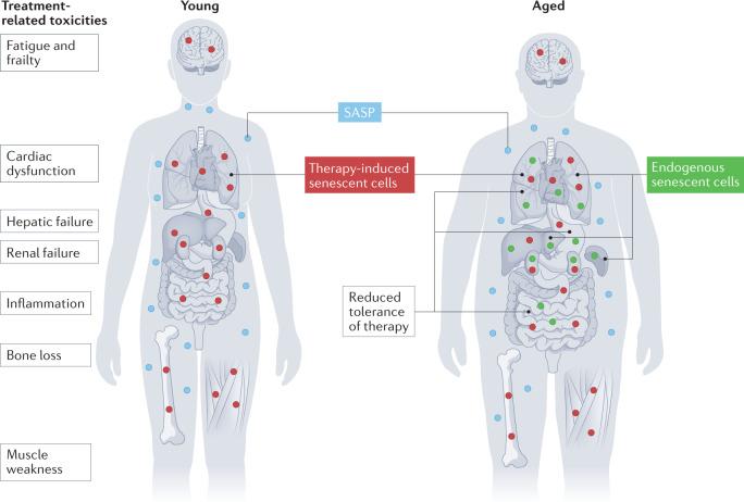 https://cdn.ncbi.nlm.nih.gov/pmc/blobs/6de8/9428886/5c9a2034bd58/41571_2022_668_Fig3_HTML.jpg