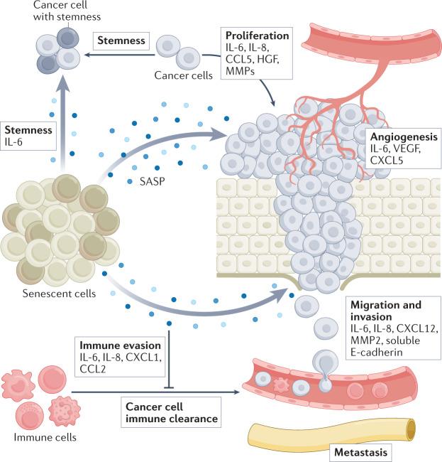 https://cdn.ncbi.nlm.nih.gov/pmc/blobs/6de8/9428886/87e4a7e49c65/41571_2022_668_Fig2_HTML.jpg