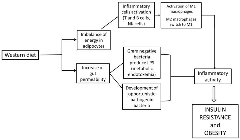 https://cdn.ncbi.nlm.nih.gov/pmc/blobs/6de9/10744591/5f0ae26842db/life-13-02317-g004.jpg