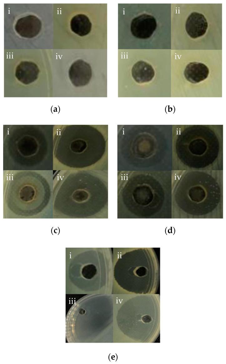 https://cdn.ncbi.nlm.nih.gov/pmc/blobs/6de9/7764142/105e36c013f2/nanomaterials-10-02475-g007.jpg